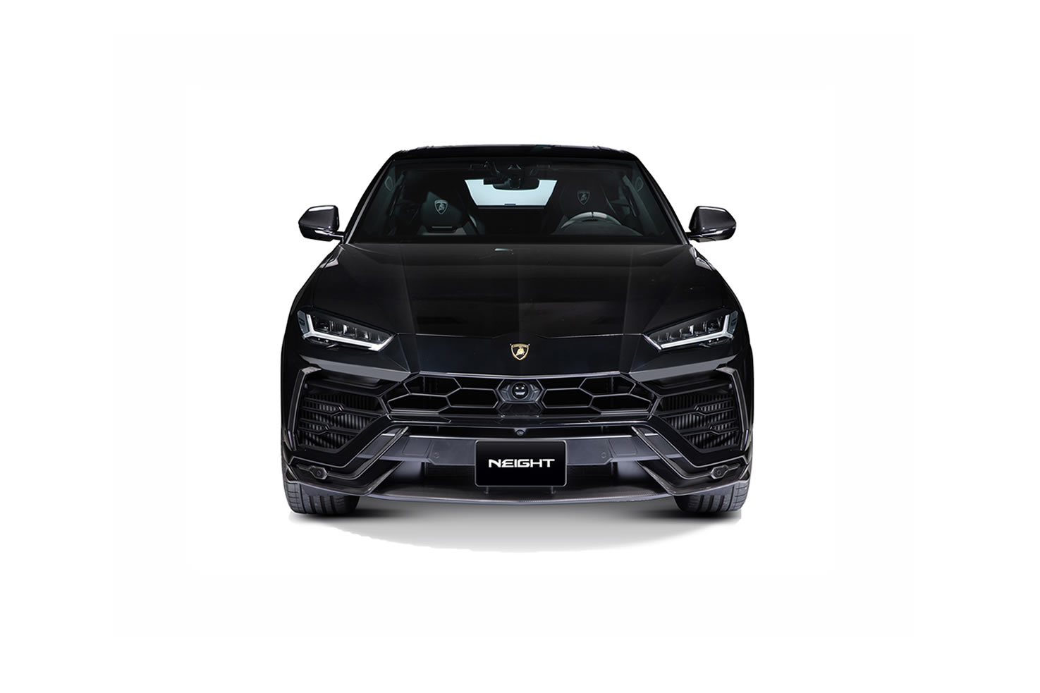 正面からのボディーカバー